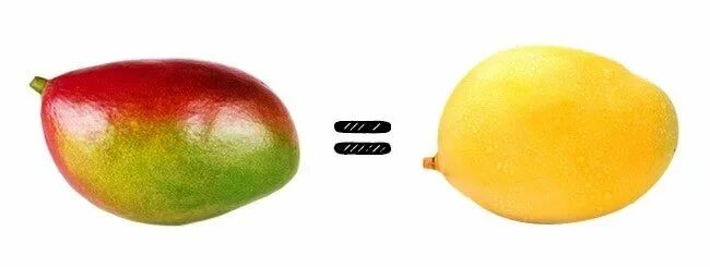 Какое может быть манго. Манго зелено красное. сорт манго зеленого цвета. манго плод. сорт манго желто красный.