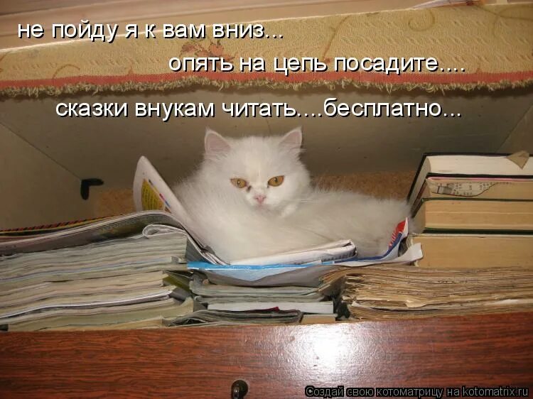 Рассказ трус. Ты уже определись. Че опять. Л пантелеев трус. Ну вот опять мем.