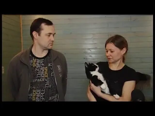 Новое кошкино