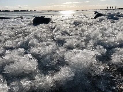 В заливе соленая вода