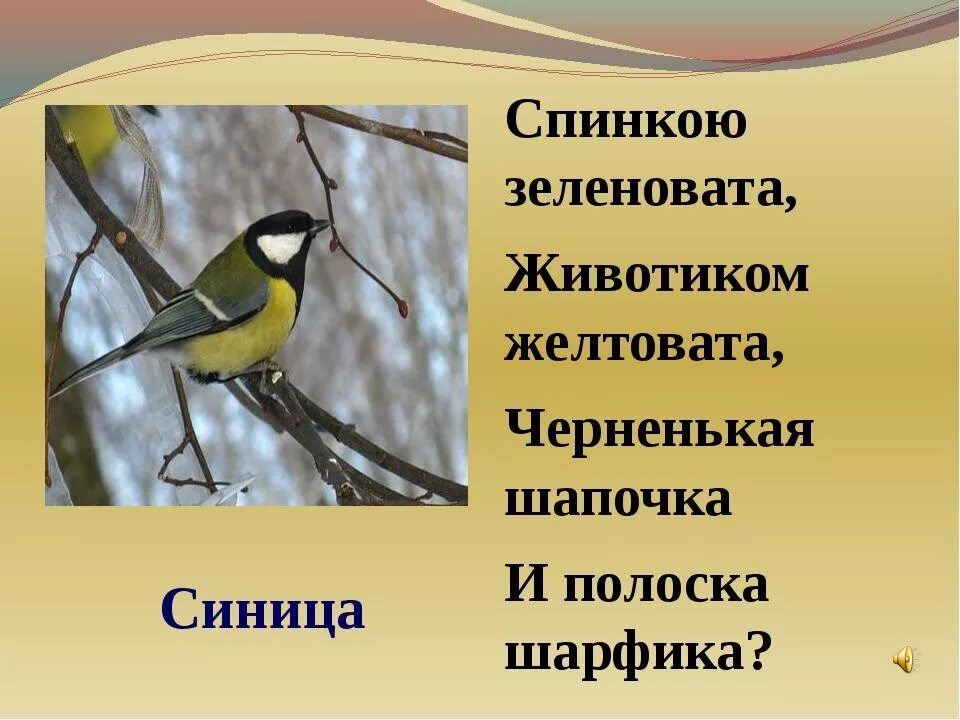 Зимующие птицы 1 класс окружающий. Спинкою зеленовата животиком. Где зимуют птицы 1 класс окружающий мир. Загадка спинкою зеленовата животиком желтовата черненькая. Окружающий мир птицы видеоурок