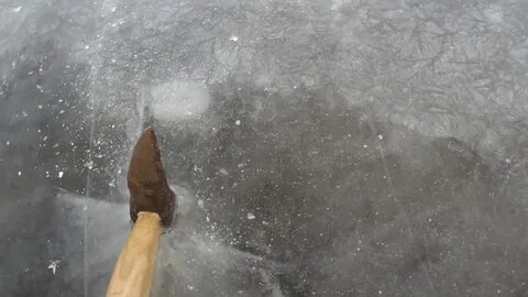 Глушить рыбу