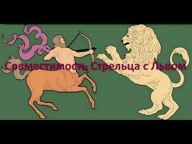 Лев и Стрелец фото. Лев и Стрелец совместимость. Шапка стрельца и Льва. Лев стрелец совместимость процент