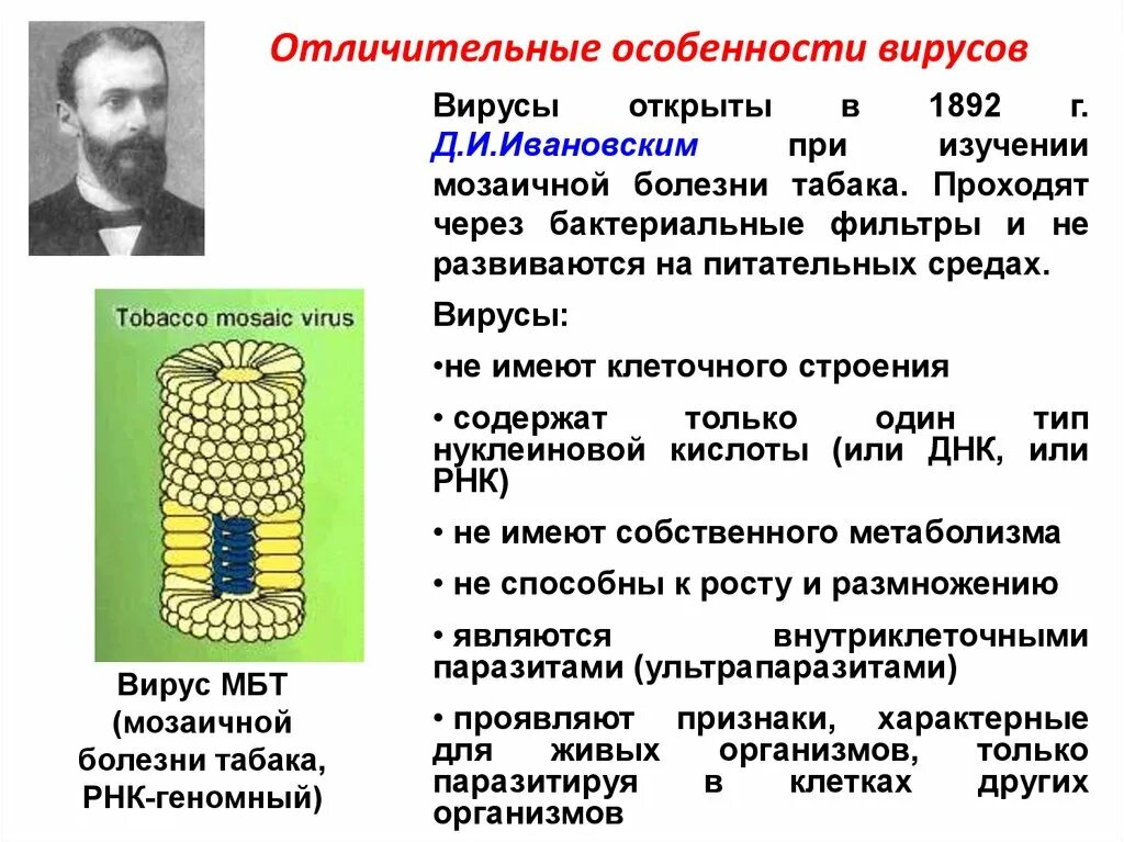 Отличительные особенности вирусов. Отличительные характеристики вирусов. Для вирусов характерно. Характерные особенности вирусов. Характеристика вирусов биология