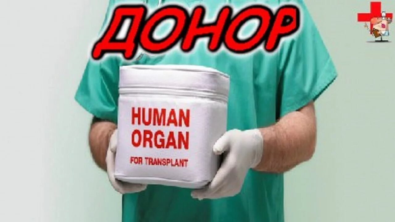 Продать почку донор. Срочно нужен донором почки.