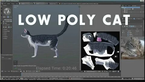 Cat in blender