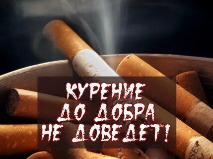 Лозунг против курения