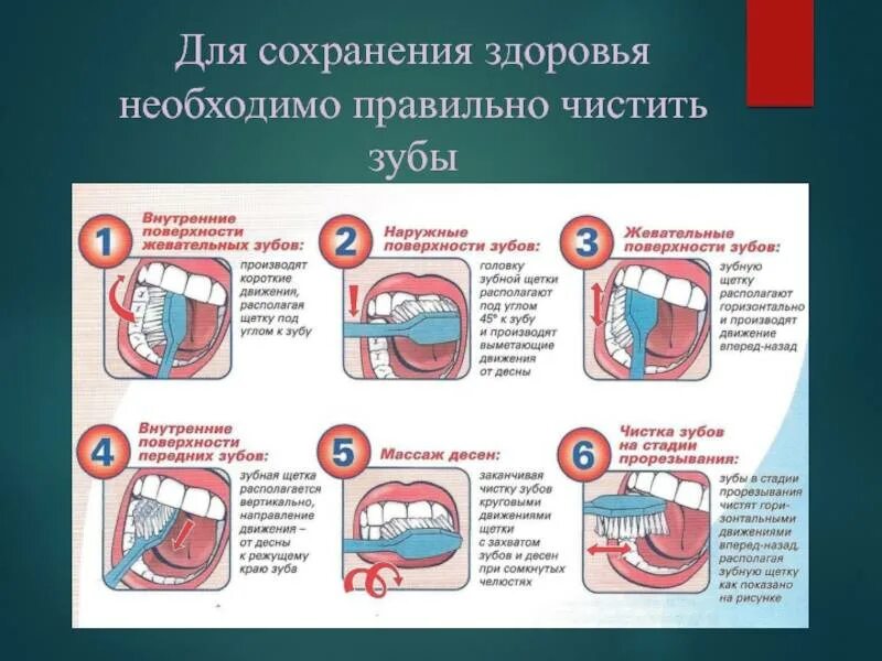 Движение зубной щетки