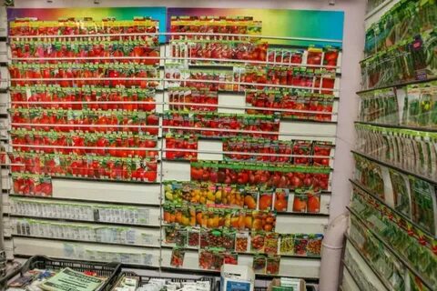 Семена овощей беларусь