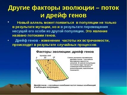 Какую роль в эволюции играют дрейф генов
