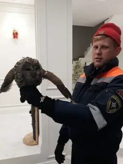Залетим в дом перевернем