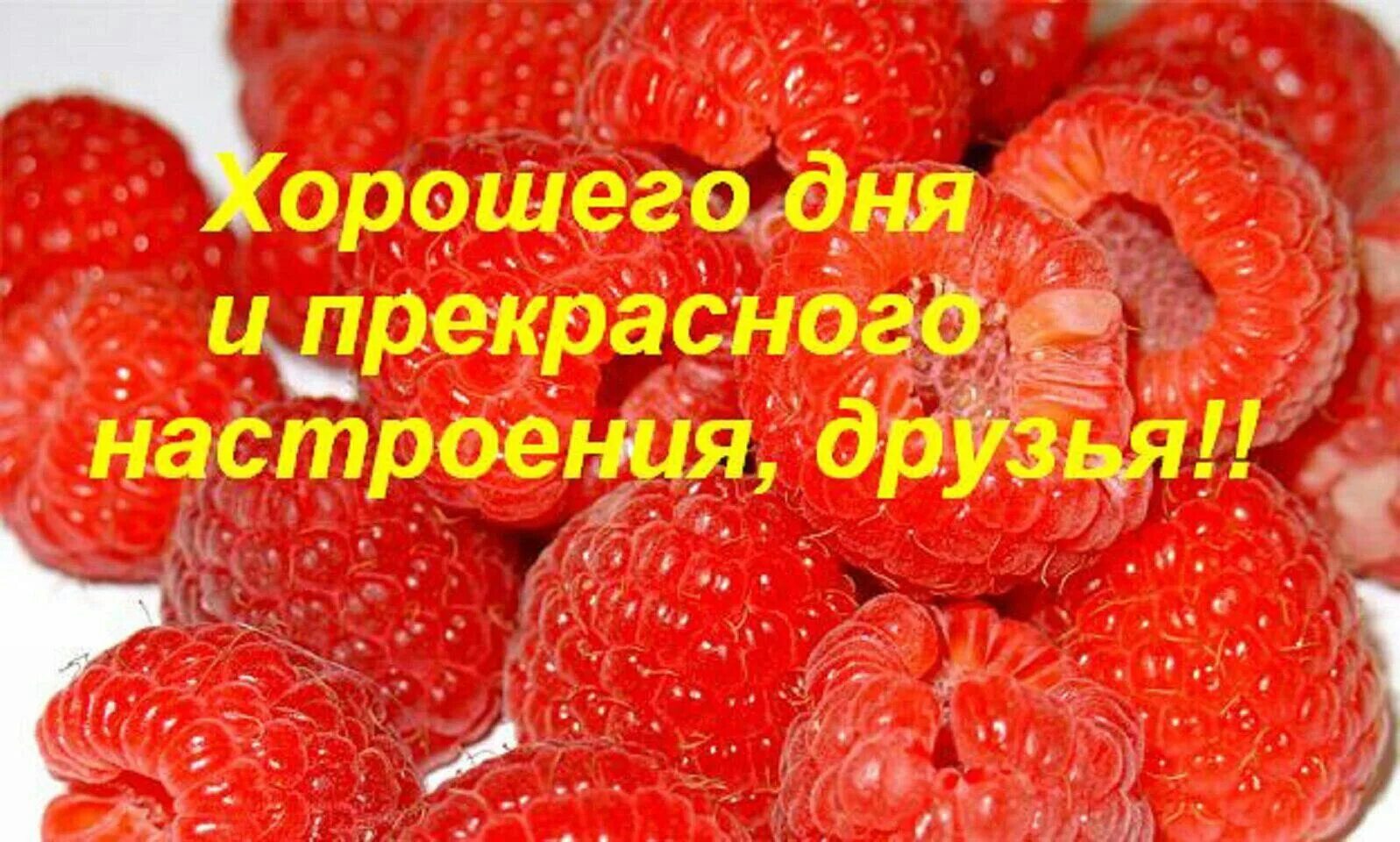 Удачный день 16. Всем привет хорошего дня. всем привет и хорошего настроения. добрый день группа. дорогая группа всем отличного дня.