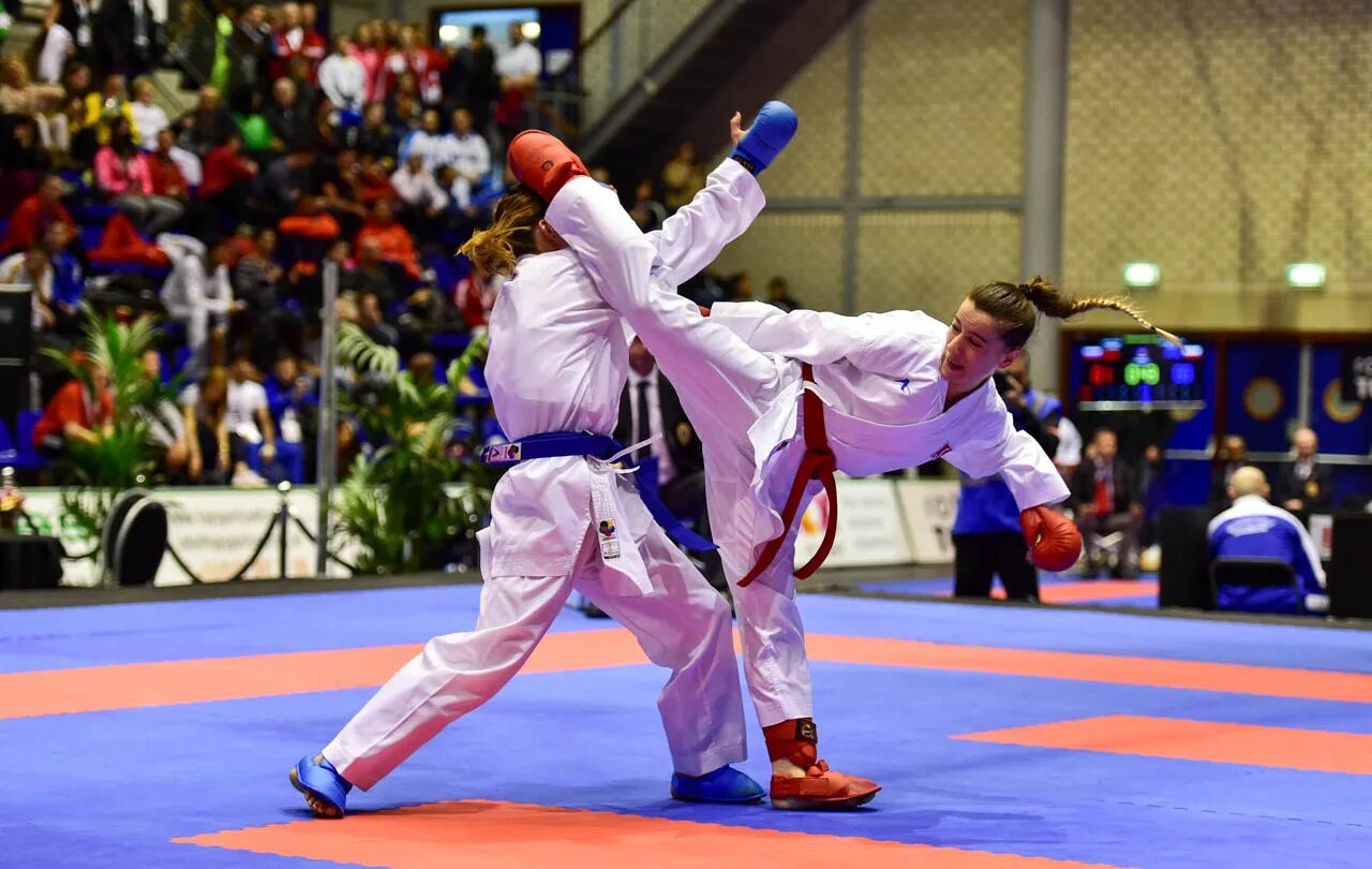 Karate WKF. Олимпийское каратэ WKF. WKF карате олимпийское каратэ. Каратэ WKF Олимпийский вид