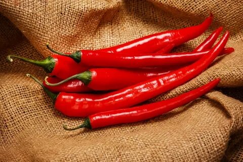 Chilly pepper