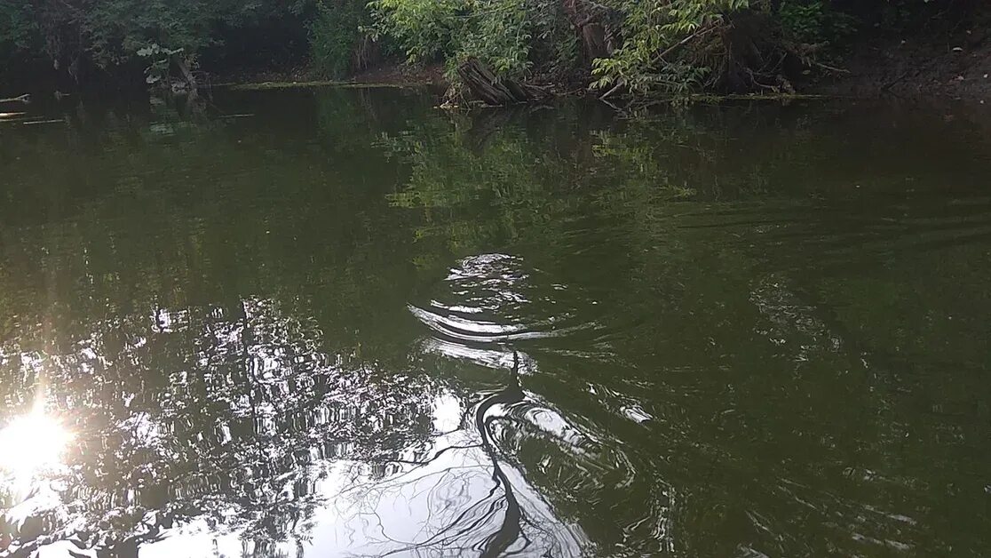 Река дурная. Устье реки лимбекою. Рыбалка дурнятская котловина. Река дурная. В речке дурочка.