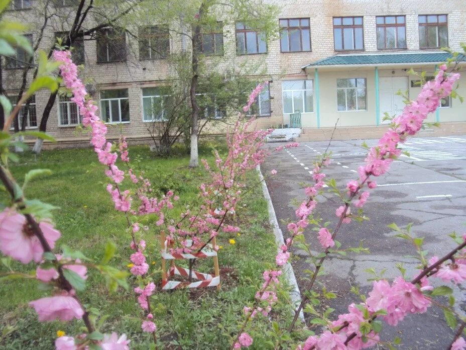 Детский дом 5 хабаровск. Детский дом 1 хабаровск. Детский дом 5 хабаровск. Детский дом 5 хабаровск официальный сайт. Детский дом 1 хабаровск.