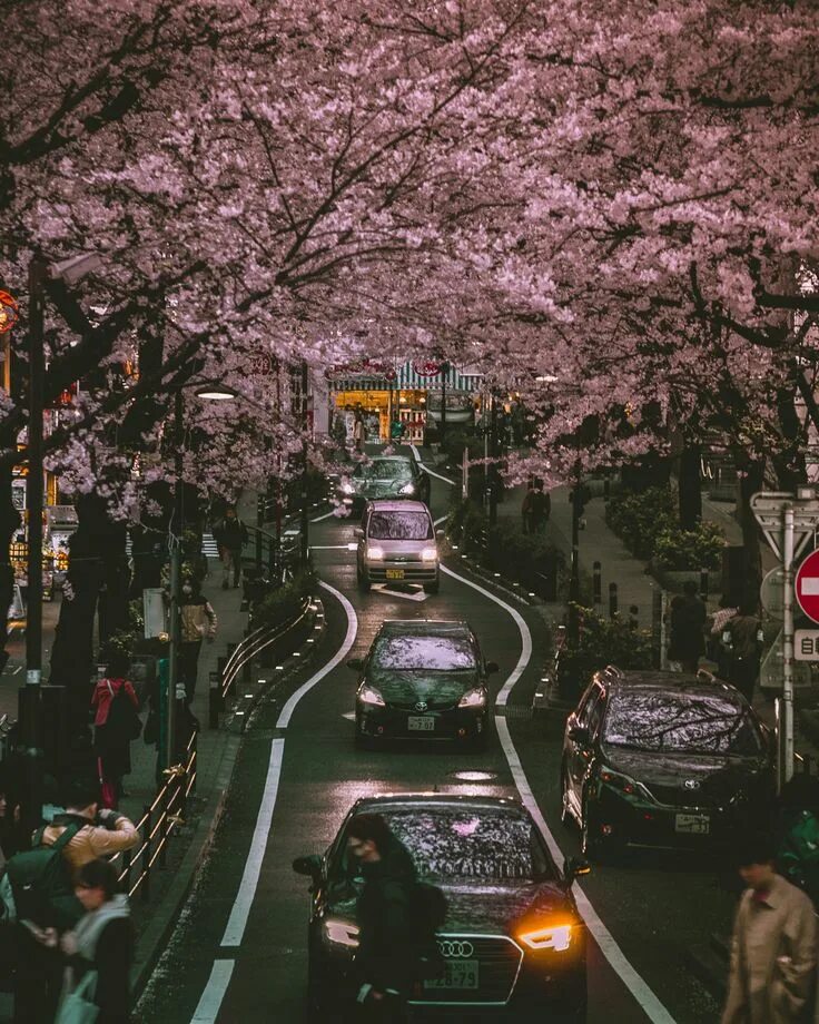 Yellow spring road япония. Япония дорога. Автомобильные дороги Японии. Токио дороги. Дороги в Японии движение.