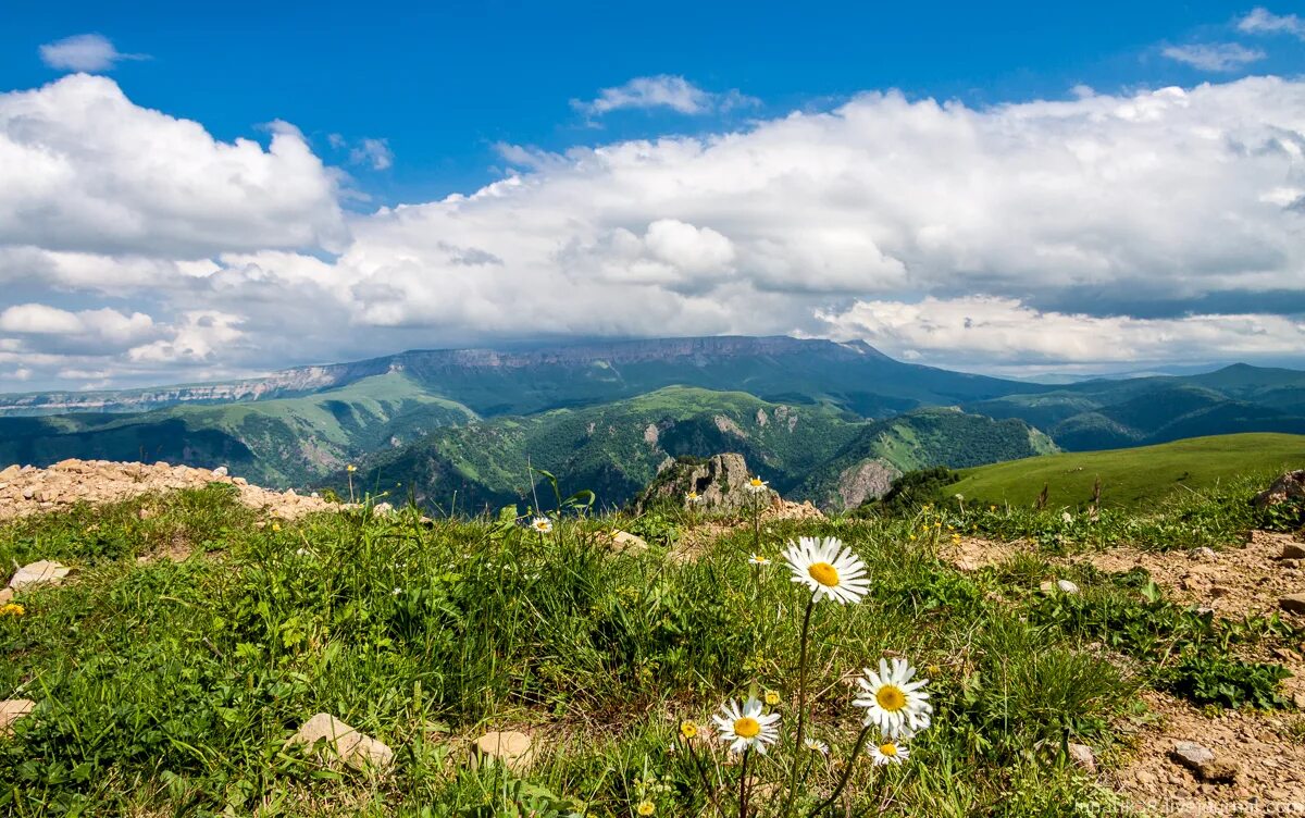 Юг россии. Фотографии Юга России. Юг России фото. Красивые фото Юга России.