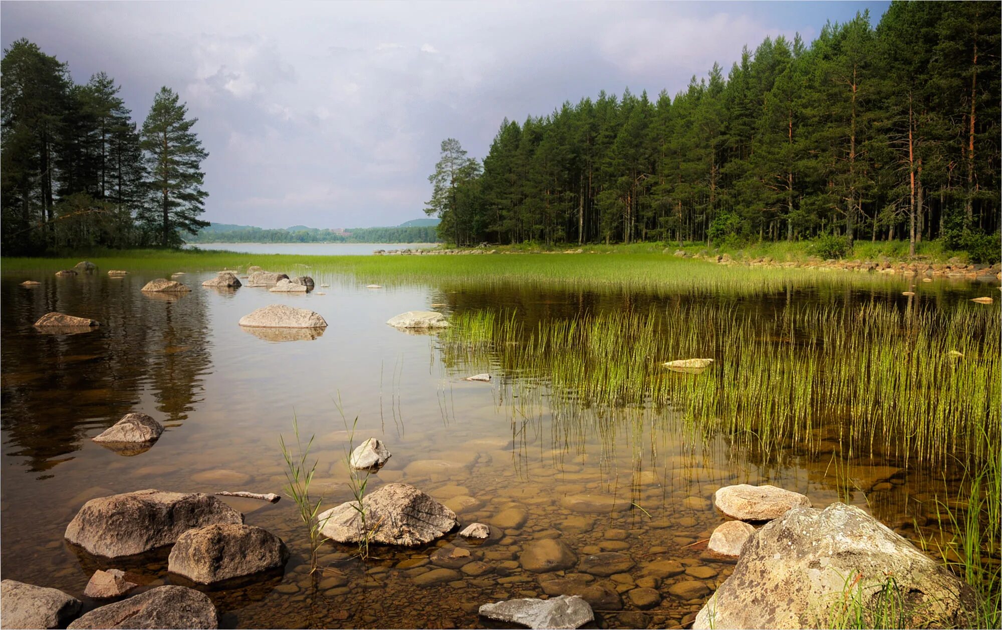 Причины большого количества озер в карелии. Озеро Каменное Карелия. Каменное болото Карелия. Карелия лес Онежское озеро. Озеро Карелия камни лес.