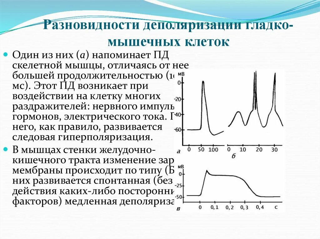 Деполяризация мембраны клетки. Деполяризация клетки. Деполяризация клеточной мембраны. Деполяризация мембраны это.