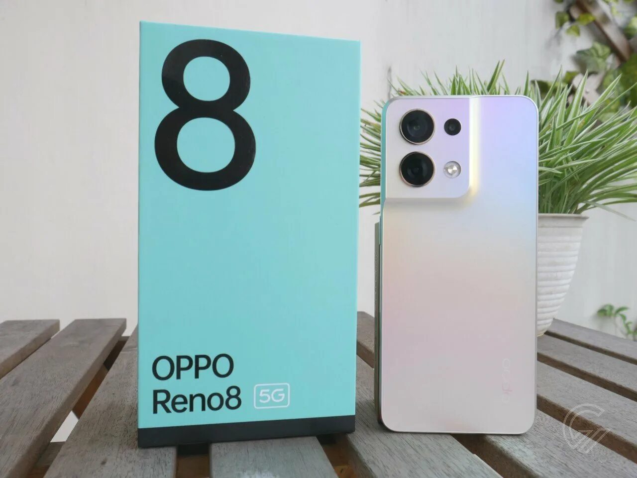 Oppo reno 5g характеристики. Oppo reno 8. oppo.