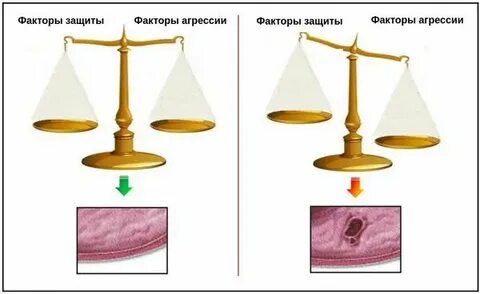 Болезни весов
