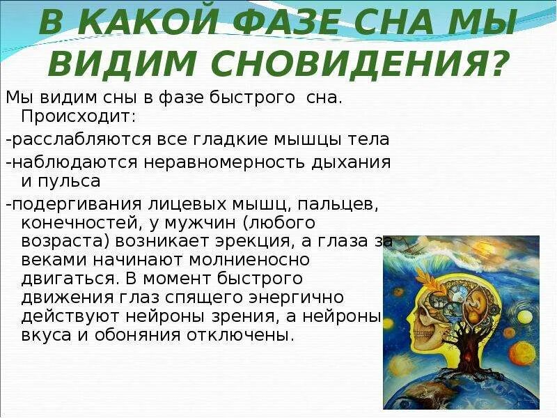 В какой фазе сна мы видим сны. Сновидения в какую фазу сна. В какой фазе человек видит сновидения. Сновидения наблюдаются в фазе сна. Каждому человеку снятся сны