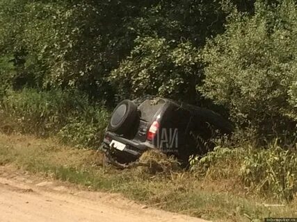 Погода в новоржеве сейчас