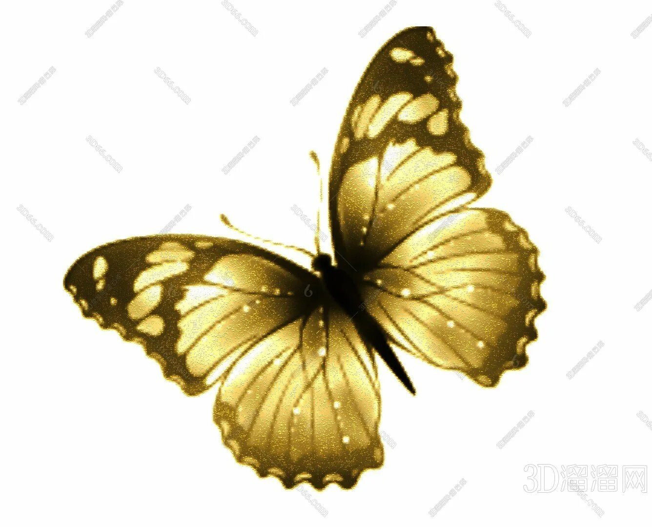 Золотая бабочка. Золотые бабочки на прозрачном фоне. Золотистые бабочки на прозрачном фоне. Золотые бабочки на белом фоне. Золотистая бабочка.