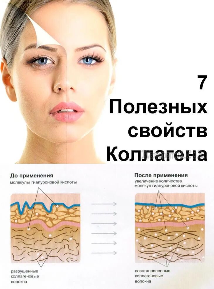 Обзор коллагена. Коллаген. Коллаген в организме человека. Коллаген для кожи лица. Для чего нужен коллаген.