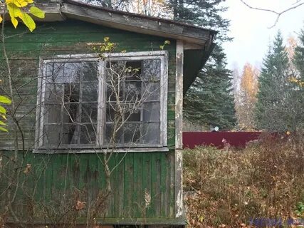 Снт ладога ленинградская область
