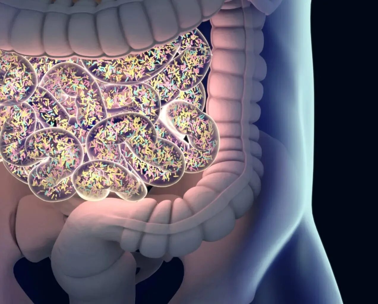 Микробиом (микробиота). Кишечный микробиом. Микробиома кишечника. Microbiome (gut) микробиом кишечника (16s).