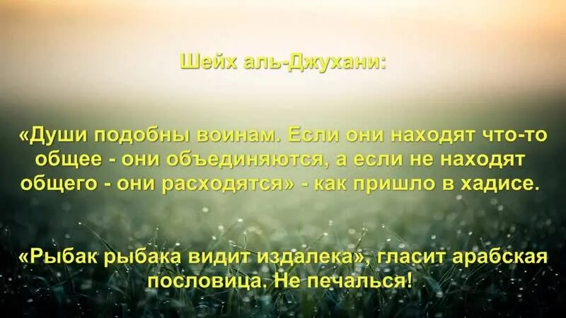 Хадисы про душу. Хадис дуси подобны воинам. Халид ибн валид арт. Души подобны воинам ищут себе подобных хадис. Имам хусейн битва.