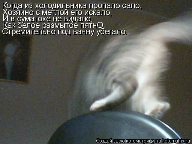 Не видать как собственных. Не видать как собственных
