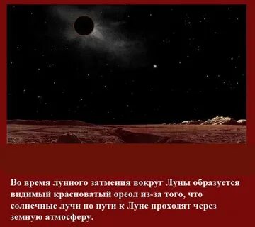 Образуют видимой формой