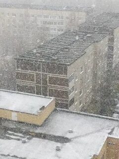 Не смотря на снег