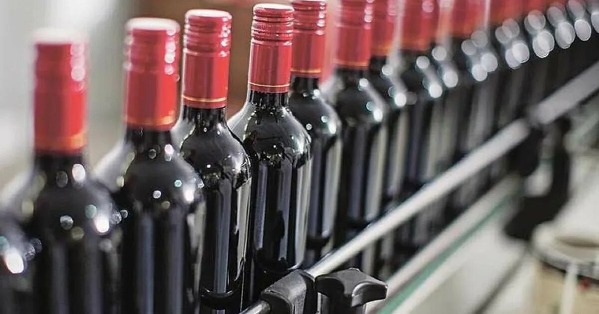 Производители игристых вин. Производство напитков. Винзавод цимлянск. Вино производство. Дешевое вино.