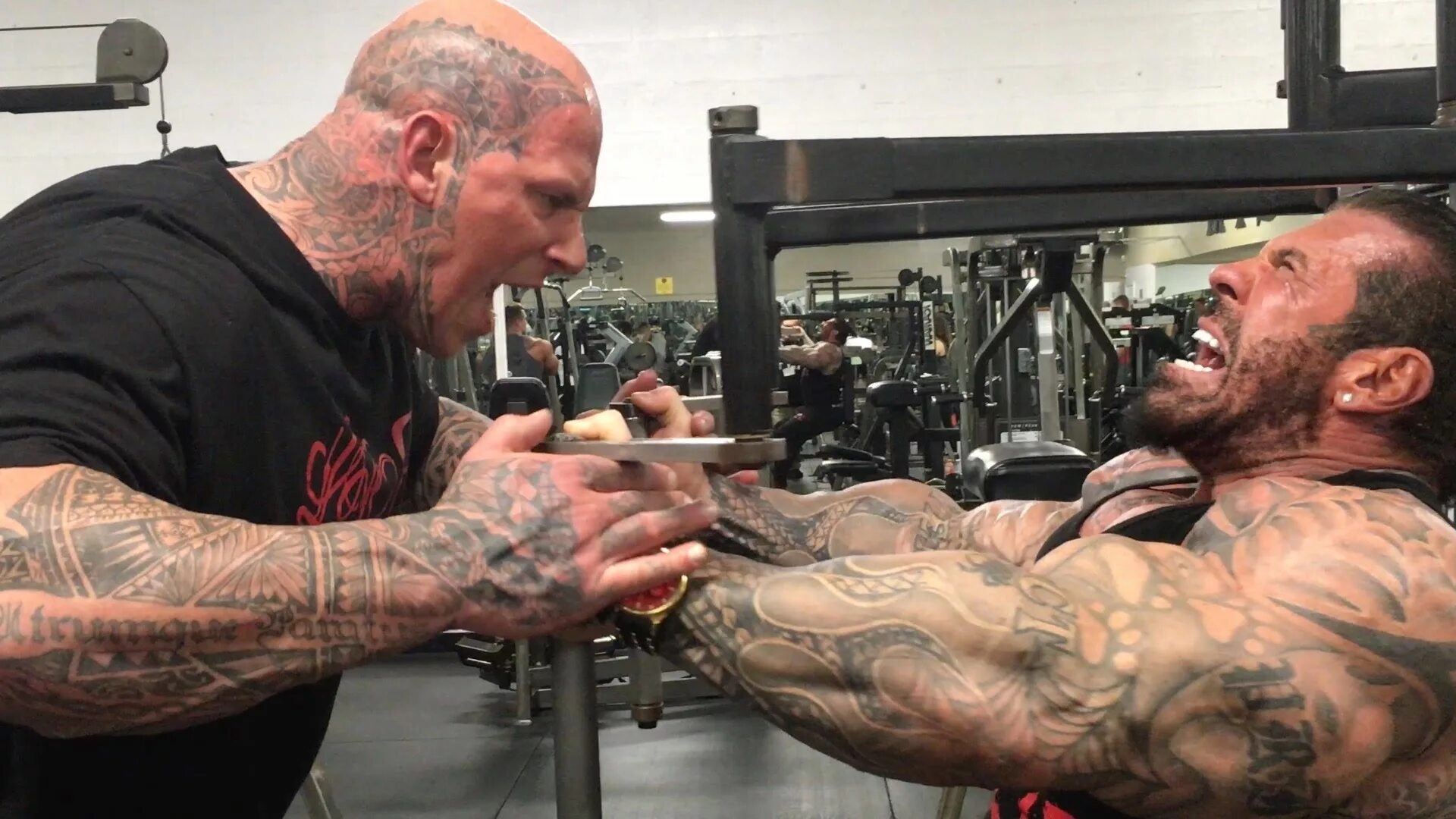Убили качка. Martyn Ford рост.