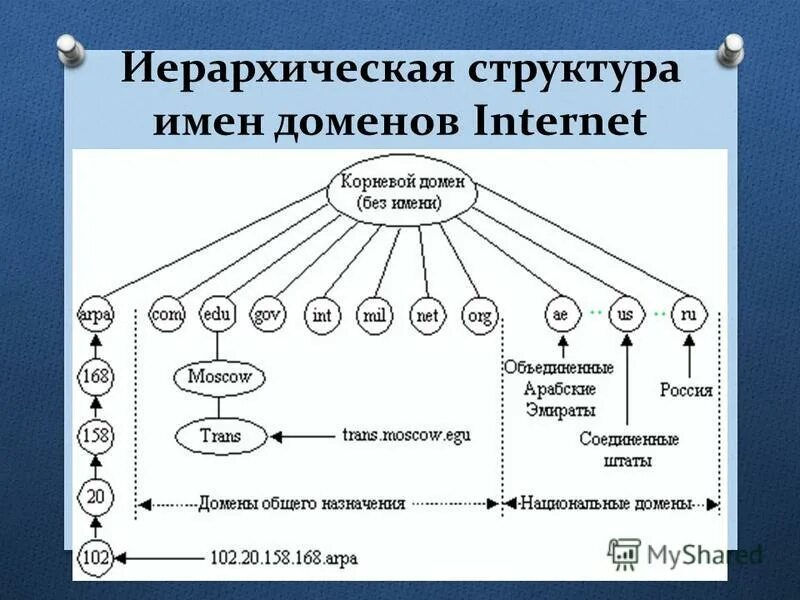 Понятие и имя в логике. По своей структуре имена могут быть. Таблица бд. Доменная система имен (dns) примеры. Dns система доменных имен.