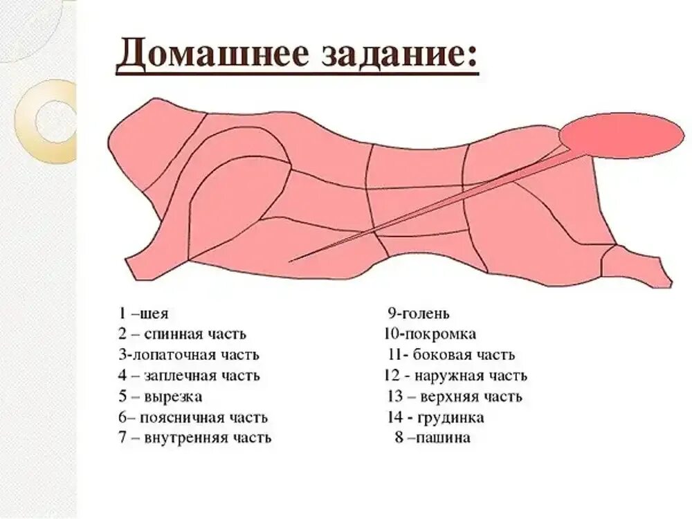 Схема разделки говяжьих полутуш. Схема разделки говядины свинины баранины. Схема разделывания говяжьей туши. Разруб туши свиньи вырезка.