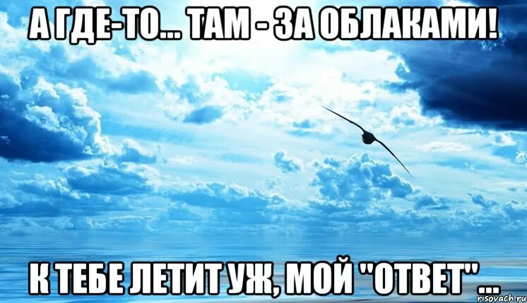 Летающие мемы