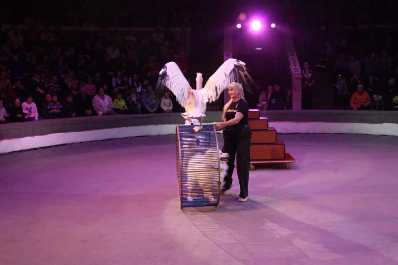 Ростов цирк 2023. Ростов цирк 2023. Ростов цирк 2023. Ростов цирк 2023. Ростов цирк 2023.