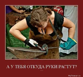 Откуда мастер
