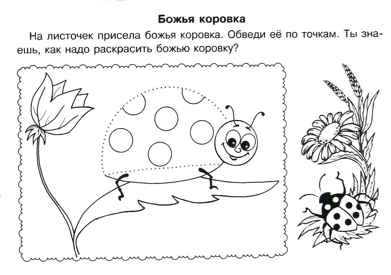 Задания для 2 5 лет. Насекомые задания для дошкольников. Задания для дошкольников 3 года. Развивающиеся задания для детей. Развивающие задания для детей 4 лет.