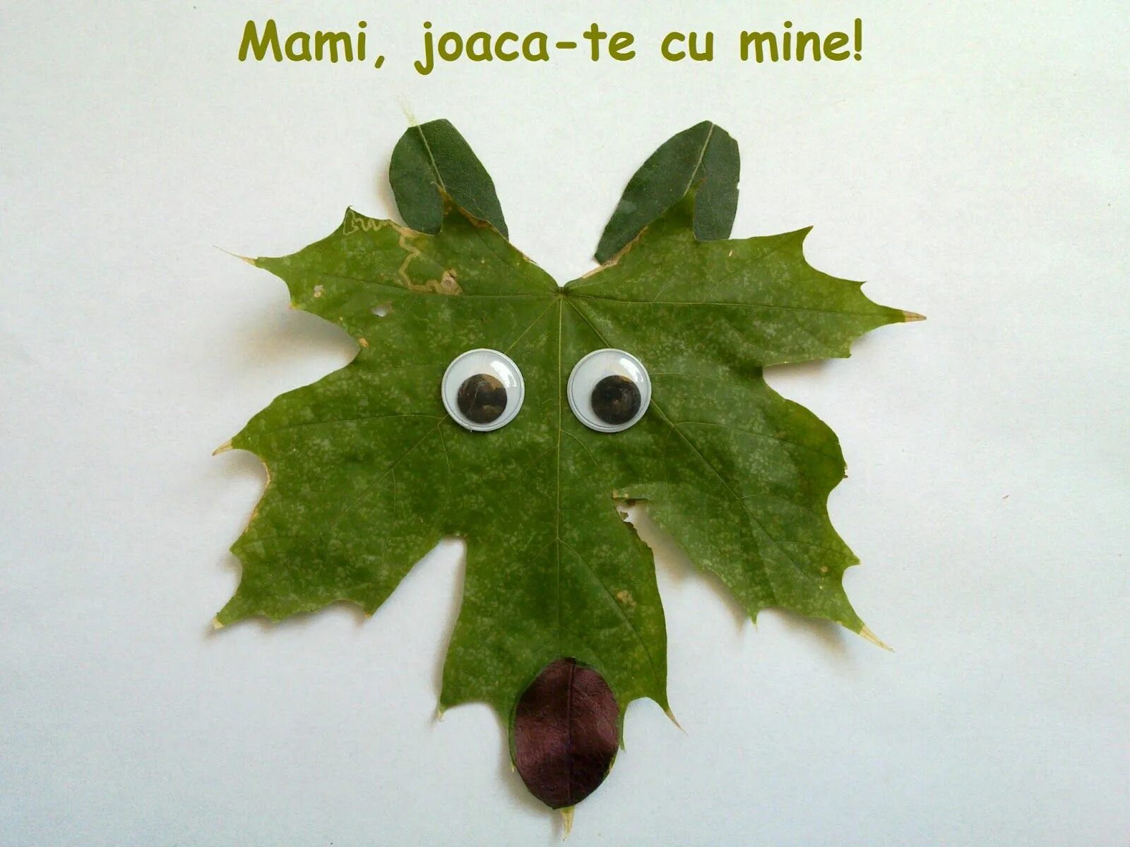 на что похожи листочки. листья липы картинки. аппликация из осенних листьев черепашка. на что похож листочек. на что похожи листочки.