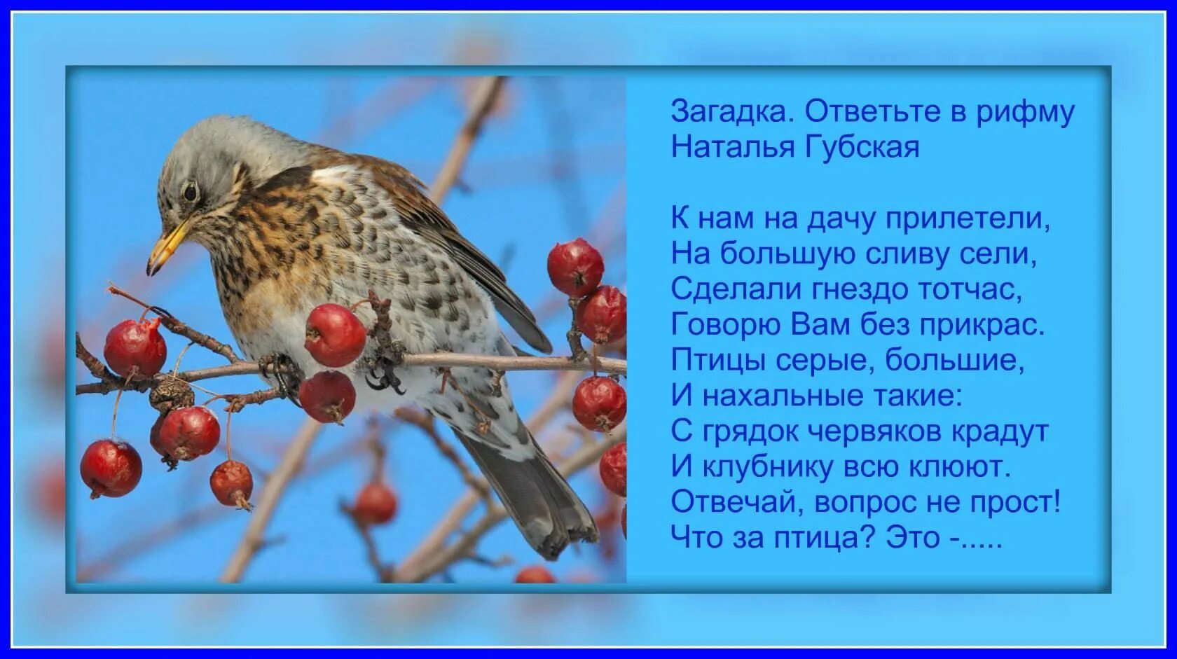 Стихи про птиц 3 года. Загадка про дрозда. Загадка про дрозда для детей. Стих про дрозда. Певчий Дрозд загадки.