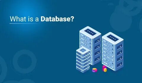 Data biz