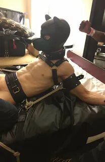 A gay Alphas kinkfest involving chastity, castration fantasy and gear fetis...