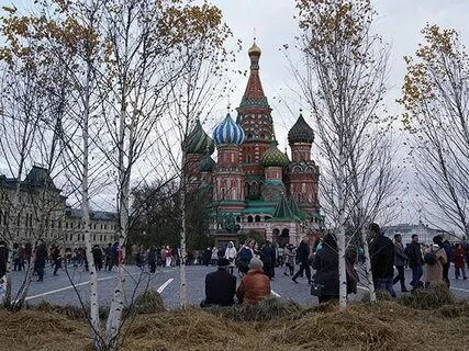 Погода в ноябре 2020