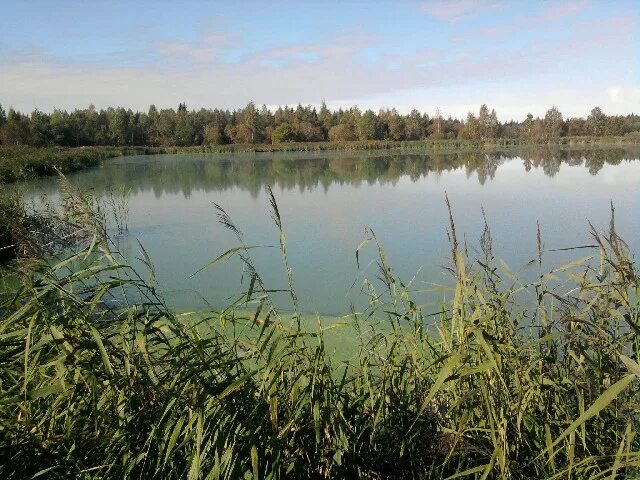 Петровский пруд санкт-петербург. Пруды ленинградская. Пруды ленинградская. Пруды ленинградская. Приозерск оз вуокса.